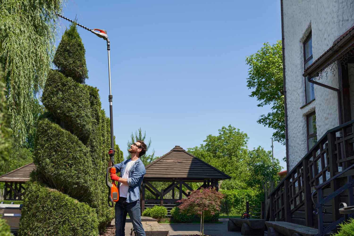 Professional Tree Service in West Lake Hills, TX